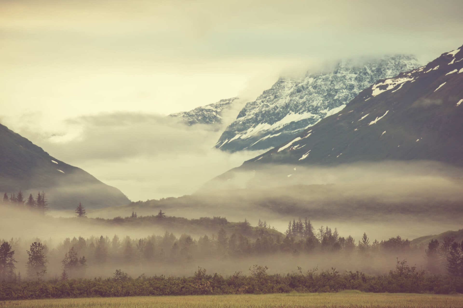 2026年市場擴張計劃